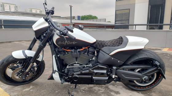 HARLEY-DAVIDSON SOFTAIL FXDR 114 